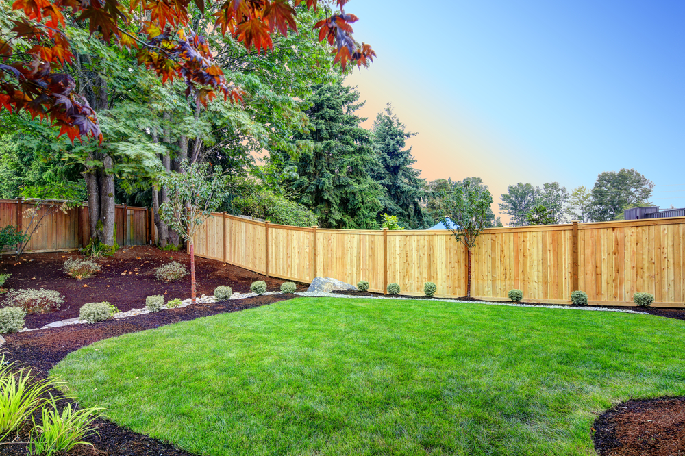 Fence Installation